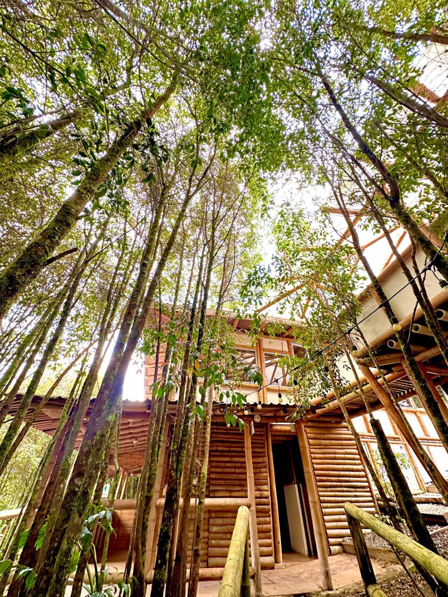 Eco Hotel Terrabella Санта-Елена Екстер'єр фото