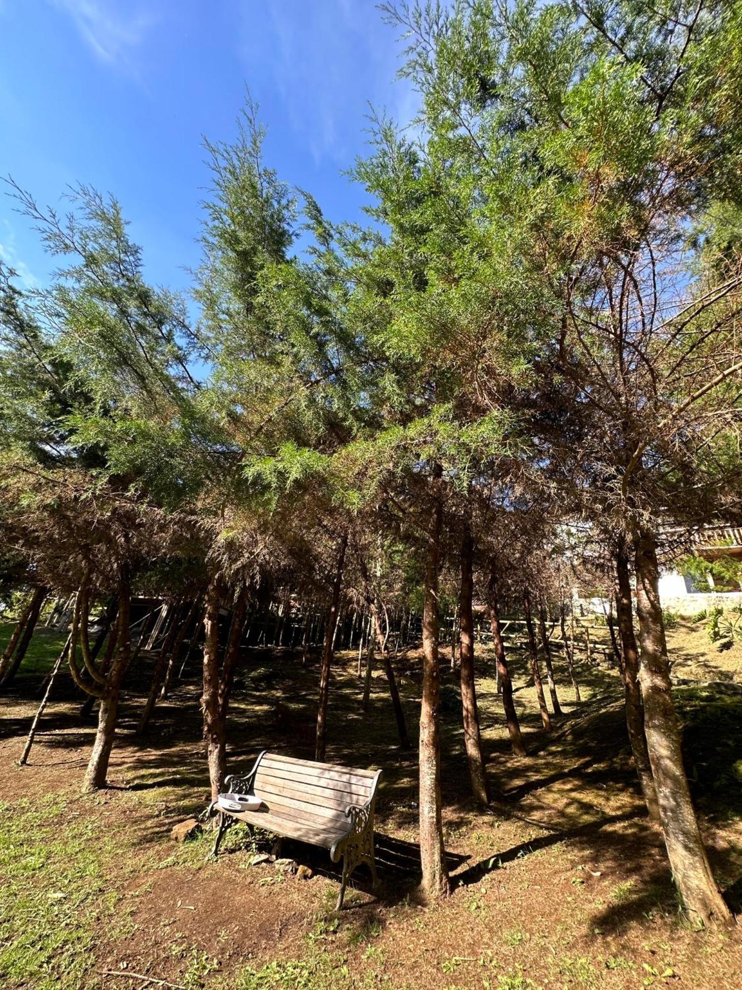Eco Hotel Terrabella Санта-Елена Екстер'єр фото